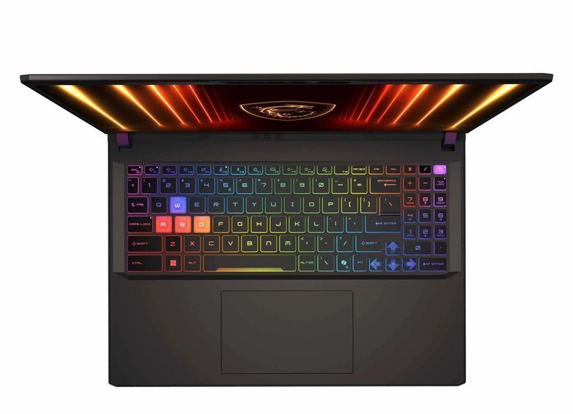Ноутбук MSI Vector 16 HX AI (VECTOR 16 HX AI A2XWHG-094PL), Intel Core Ultra 9 275HX / 16" / 240 Гц / RAM 32 ГБ DDR5 / SSD 1 ТБ / RTX 5070 Ti + Intel Graphics / Windows 11 Home / Сірий