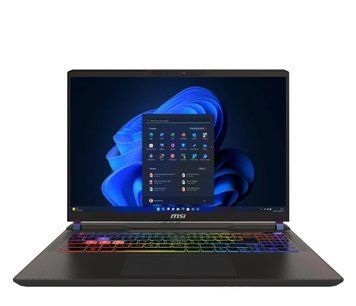 Ноутбук MSI Vector 16 HX AI A2XWHG (4711377319386), Intel Core Ultra 7 255HX / 16&Prime; / RAM 16 ГБ / SSD 1 ТБ / Windows 11 Home / GeForce RTX 5070 Ti / Grey